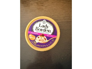 レディーボーデン ミニカップ ラムレーズン
