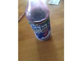 Welch’s グレープ100