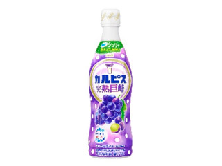 アサヒ カルピス 完熟巨峰