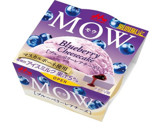 森永 MOW ブルーベリーレアチーズ