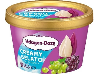 ⭐️希少価値⭐️ハーゲンダッツ パブミラー