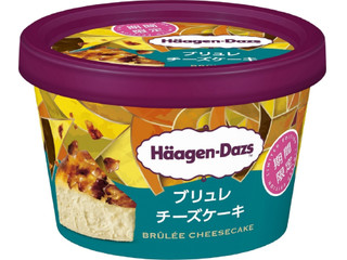 ハーゲンダッツ ブリュレチーズケーキ