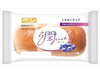 フジパン うるおいサンド ブルーベリー