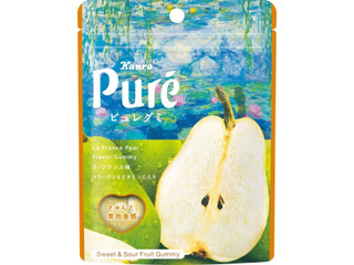 カンロ 絵画をめぐるピュレグミ ラ・フランス