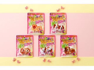 カンロ ワンワンデミーナグミ 商品写真