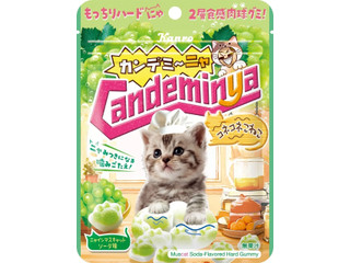 カンロ カンデミーニャグミ コネコネこねこ