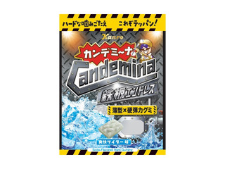 カンデミーナグミ鉄板エンドレス