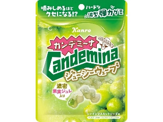 カンロ カンデミーナグミ ジューシーウェーブ