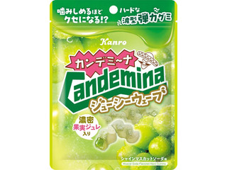 カンロ カンデミーナグミ ジューシーウェーブ