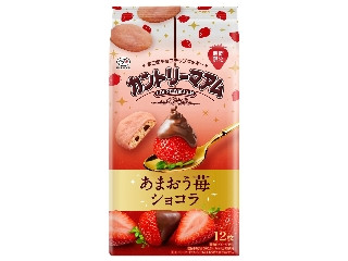 不二家 カントリーマアム あまおう苺ショコラ