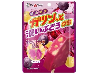 不二家 ガツン、と濃いぶどうグミ
