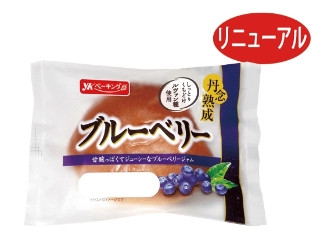 YKベーキング 丹念熟成ブルーベリー