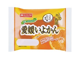 YKベーキング 丹念熟成愛媛いよかん