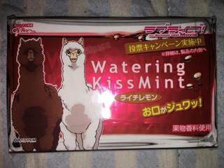ウォータリングキスミント（Watering KissMint）」のおすすめ商品一覧