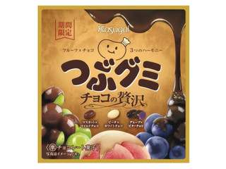 春日井 つぶグミチョコの贅沢