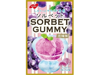 ノーベル ソルベットグミ 巨峰味