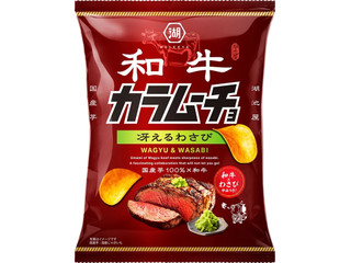 湖池屋 和牛カラムーチョ 冴えるわさび