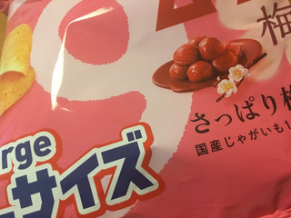 湖池屋 Largeサイズ すっぱムーチョさっぱり梅