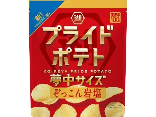 湖池屋 夢中サイズ 湖池屋プライドポテト ぞっこん岩塩