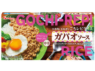 ハウス ごちレピライス ガパオソース