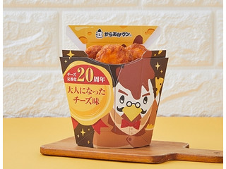 でからあげクン ゲーム・おもちゃ・グッズ Yun様専用 からあげクンお