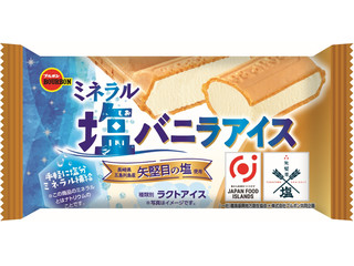 ミネラル塩バニラアイス