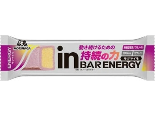 【遺伝子組み換え】ディアナチュラスタイル 48種の発酵植物×食物繊維・乳酸菌 60日分 240粒 5個セット