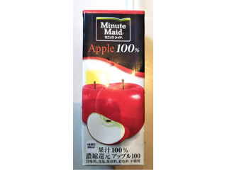 ミニッツメイド アップル 紙パック りんごジュース 200ml 127本 ミニッツメイド アップル 紙パック りんごジュース 200ml 127本