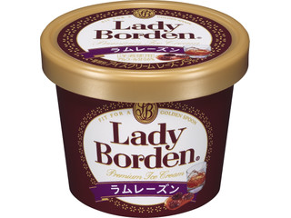 レディーボーデン ミニカップ ラムレーズン