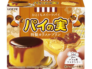 ロッテ パイの実 特製カラメルプリン