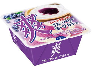 ロッテ 爽 ブルーベリーヨーグルト味