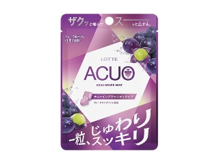 ロッテ アクオ アクアグレープミントチューイングキャンディ