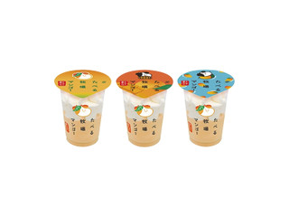 yoyo様専用 マンゴー（マンゴー日本配達 5KG (8-12入)）