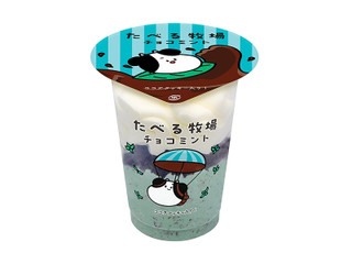 赤城 たべる牧場 チョコミント