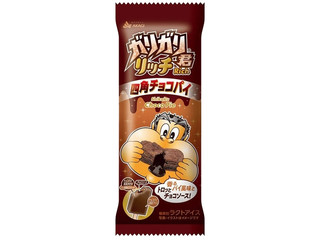 赤城 ガリガリ君リッチ 四角チョコパイ
