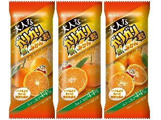 赤城 大人なガリガリ君 濃いみかん