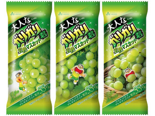 赤城 大人なガリガリ君 完熟マスカット