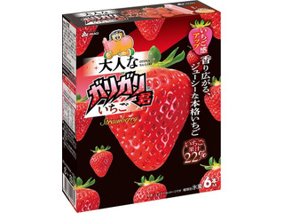 赤城 大人なガリガリ君いちご