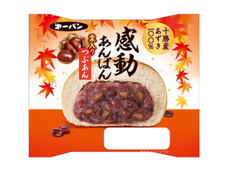 第一パン 感動あんぱん 栗入りつぶあん 商品写真