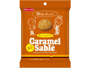 イトウ製菓 キャラメルサブレミニ