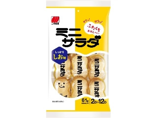 ミニサラダ しお味