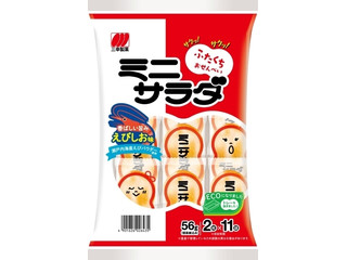 三幸製菓 ミニサラダ えびしお味 商品写真