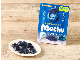 UHA味覚糖 モッチュ ブルーベリー味