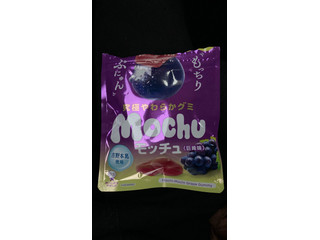 UHA味覚糖 モッチュ 巨峰味