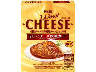 S&B WOW!CHEESE とろ~りチーズ欧風カレー 中辛