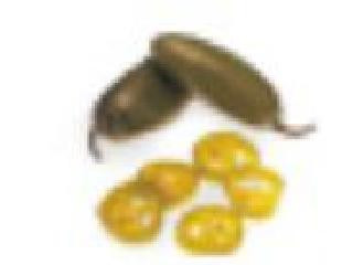 サブウェイ ドレッシング ホットペッパー激辛