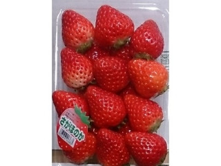 佐賀県産 さがほのか いちご