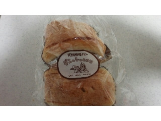 デニッシュハウス アップルスイートエクセル