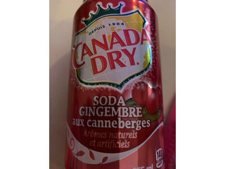 中評価】カナダドライ SODA GINGEMBREの感想・クチコミ