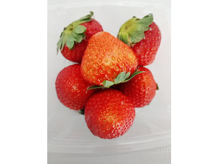 栃木県産 苺